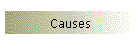 Causes